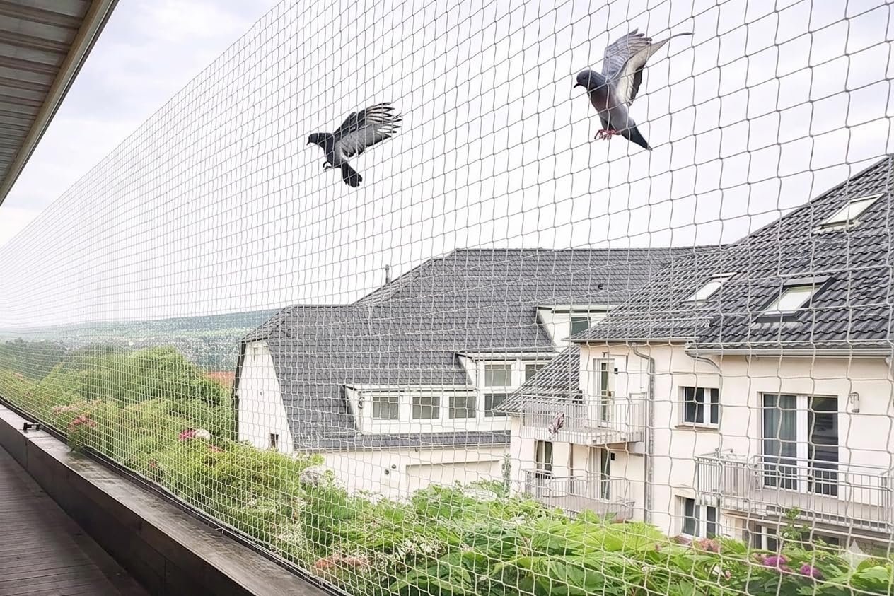 Pigeon Net Installation